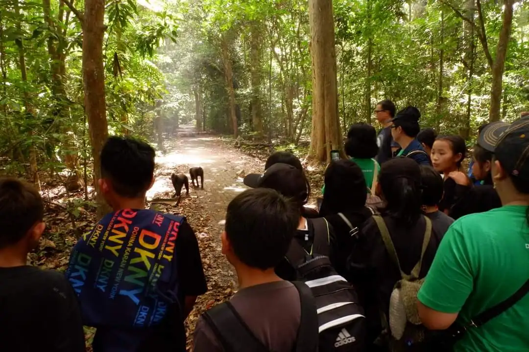 Aktivitas Pendidikan Konservasi Tangkoko Macaca Nigra Project dalam kegiatan Sekolah Alam berbasis kurikulum di tahun ajaran 2022-2023. Foto Fb. Tangkoko Conservation Education