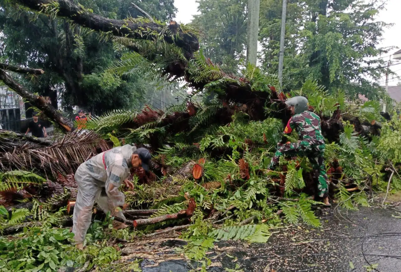Pengerjaan pembersihan pohon yang menutupi jalan di area perkantoran Jl.17 Agustus Kelurahan Teling Atas, Kecamatan Wanea, Kota Manado. Istimewa