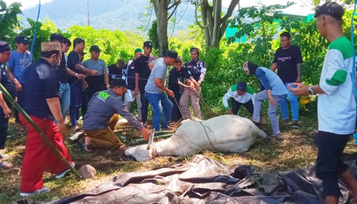 BSMI Kota Bitung Bagikan Daging Qurban Kepada Kaum Dhuafa dan Mualaf juga Warga Non Muslim