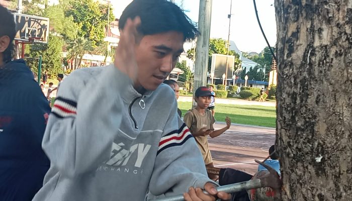 Lindungi Kehidupan Pohon BPKel Oi Hidup Manado Cabut 113 Paku dari Pohon di Taman Tikala