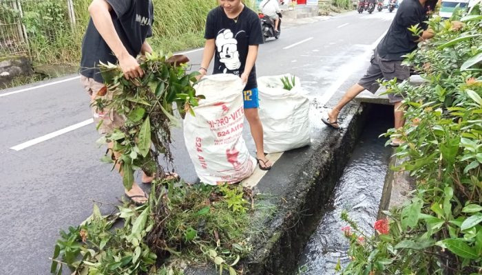 Cegah DBD di TK RA Kamal Manado KMPA Tansa Lakukan Aksi Bersih Lingkungan