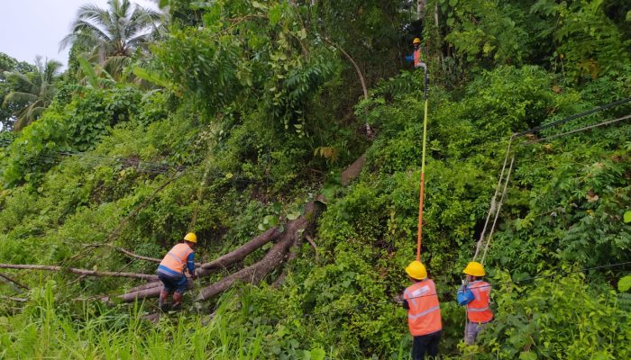 Gerak Cepat PLN UID Suluttenggo Pulihkan Gangguan Jaringan Listrik Akibat Cuaca Ekstrem