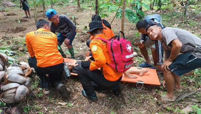 Lansia 93 Tahun Hilang di Perkebunan Sangihe Ditemukan Selamat Setelah Operasi SAR Intensif