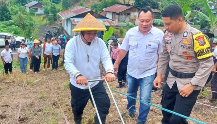 Wawali Bitung Randito Maringka Tanam Jagung Bersama KT. Gema Tani, Dukung Ketahanan Pangan Daerah