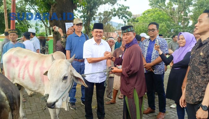 Haji Ramlan Ifran Apresiasi Bantuan Hewan Kurban Pemerintah untuk Warga Bitung
