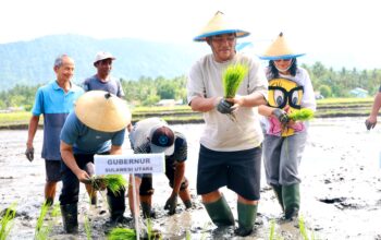 Gubernur Sulut Yulius Selvanus didampingi Ketua TP PKK Sulut Ny. Anik Yulius Selvanus menanam padi di Desa Solog, Kecamatan Lolak, Kabupaten Bolaang Mongondow, Jumat (23/1/2026).