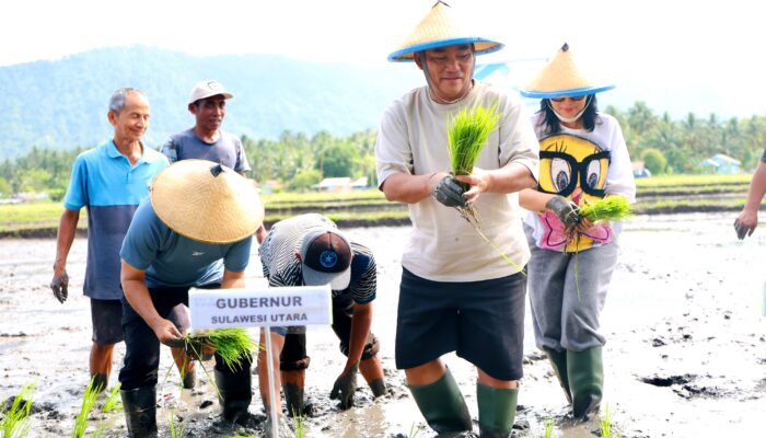 Gerakan Tanam Padi, Strategi Gubernur Yulius Selvanus Jaga Pasokan Pangan Mandiri di Sulut