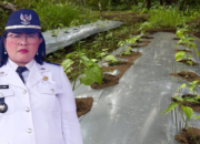 Penjabat Hukum Tua Desa Malola Cianly S Liando SPd MPd.