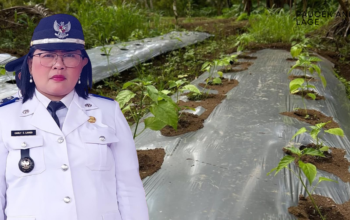 Penjabat Hukum Tua Desa Malola Cianly S Liando SPd MPd.