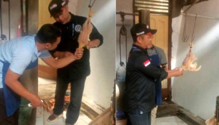 Peserta Sertifikasi Kompetensi JULEHA Sulut Ikuti Praktik Sembelih Halal Berstandar Nasional