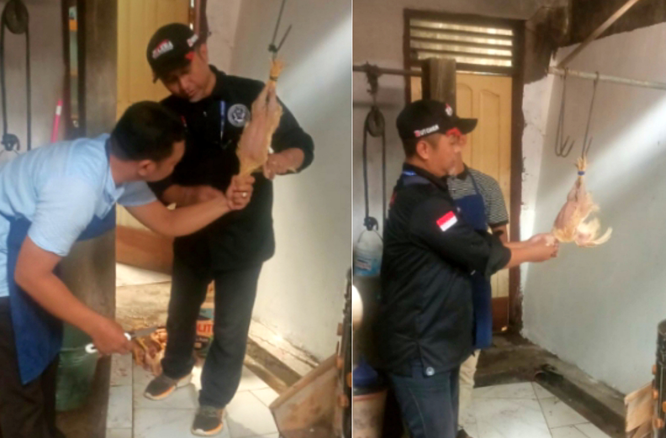 Praktik lapangan penyembelihan halal JULEHA Sulut. (Foto: Ist)