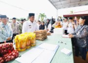 Gubernur Yulius Selvanus saat tinjau GPM di Tutuyan Bolaang Mongondow Timur (Boltim). (Foto: Ist)