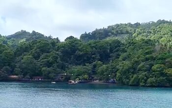 Ilustrasi gambar lahan di Pulau Lembeh, Kota Bitung. (Foto: Ist)