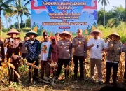 SINERGI PANGAN: Kapolres Bitung AKBP Albert Zai, S.I.K., M.H., bersama Wali Kota Hengky Honandar, S.E., Kajari Erwin Widihantono, S.H., M.H., dan kelompok tani saat melakukan panen raya jagung di Kelurahan Sagerat Weru Dua, Kecamatan Matuari, Sabtu (16/5/2026). (Foto: Dok. Polres Bitung/SUDARA.ID)
