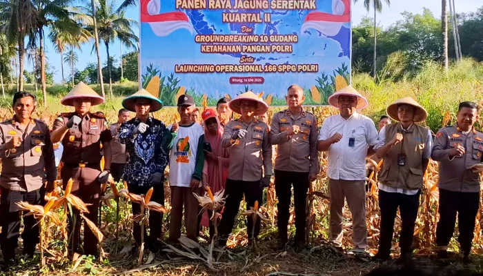 Panen Jagung, AKBP Albert Zai Tegaskan Polres Bitung ‘All-Out’ Sukseskan Swasembada Pangan