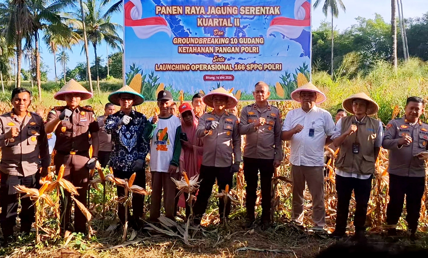 ​SINERGI PANGAN: Kapolres Bitung AKBP Albert Zai, S.I.K., M.H., bersama Wali Kota Hengky Honandar, S.E., Kajari Erwin Widihantono, S.H., M.H., dan kelompok tani saat melakukan panen raya jagung di Kelurahan Sagerat Weru Dua, Kecamatan Matuari, Sabtu (16/5/2026). (Foto: Dok. Polres Bitung/SUDARA.ID)