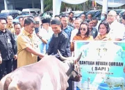 Gubernur Sulut, Yulius Selvanus saat penyerahan hewan kurban 1447 H. (Foto: Istimewa)
