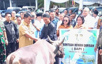 Gubernur Sulut, Yulius Selvanus saat penyerahan hewan kurban 1447 H. (Foto: Istimewa)