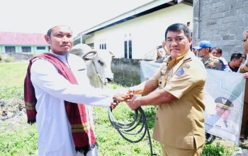 SERAHKAN BANTUAN: Gubernur Sulut Mayjen TNI (Purn) Yulius Selvanus menyerahkan bantuan kemasyarakatan berupa sapi kurban dari Presiden Prabowo Subianto di Masjid Jannatul Firdaus, Desa Tadoy, Bolmong, Selasa (26/5/2026). (Foto: Istimewa/SUDARA.ID)