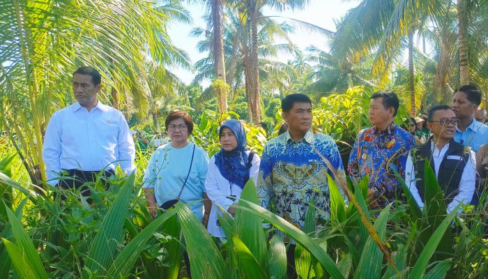 Sidak Bibit Kelapa di Manado, Mentan Amran Sulaiman ‘Warning’ Para Mitra Usaha