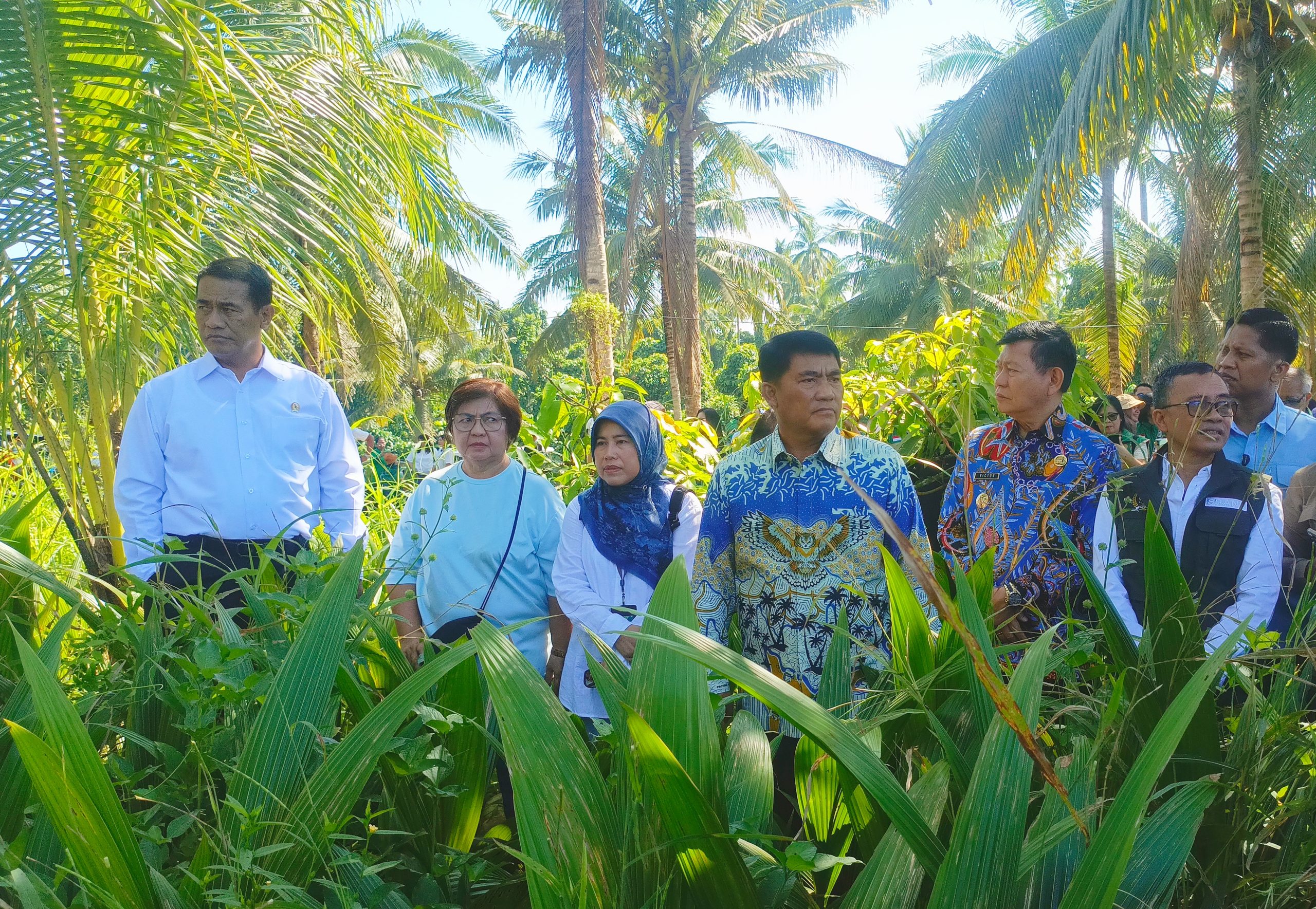 Menteri Pertanian Andi Amran Sulaiman didampingi Gubernur Sulut Yulius Selvanus dan Wagub Victor Mailangkay saat melakukan sidak bibit kelapa di Kelurahan Bengkol, Manado, Jumat (1/5). (Foto: Ridho L Tobing)