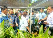 DUKUNGAN PUSAT: Terkesan dengan kepemimpinan Gubernur Yulius Selvanus, Mentan Amran Sulaiman (tengah) memberikan bantuan tambahan 15.000 hektar jagung saat melakukan peninjauan bibit kelapa di Manado, Jumat (1/5). (Foto: Ridho L Tobing)