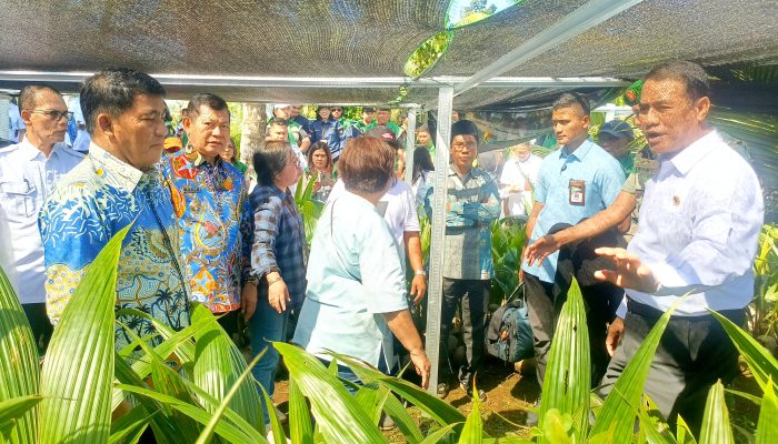 Mentan Amran Akomodir 15.000 Ha Benih Jagung untuk Sulut: “Inilah karena Pemerintahannya Bagus!