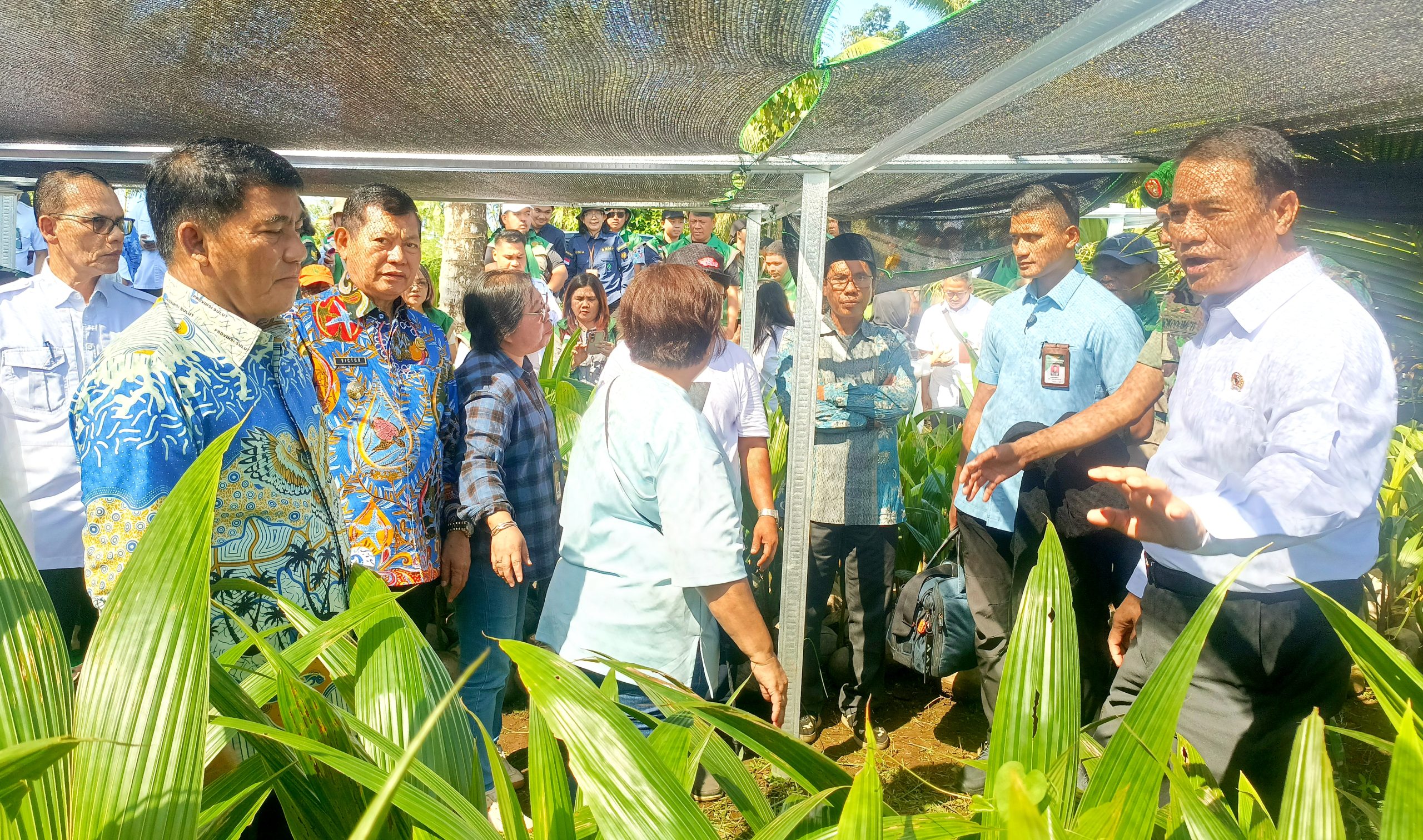 DUKUNGAN PUSAT: Terkesan dengan kepemimpinan Gubernur Yulius Selvanus, Mentan Amran Sulaiman (tengah) memberikan bantuan tambahan 15.000 hektar jagung saat melakukan peninjauan bibit kelapa di Manado, Jumat (1/5). (Foto: Ridho L Tobing)