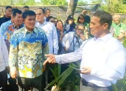 Sinergi strategis Gubernur Sulut Yulius Selvanus bersama Kementan RI sukses melipatgandakan kuota lahan jagung hingga 50.000 hektar serta mendatangkan bantuan alsintan modern bagi petani Sulut. (Foto: Ridho L Tobing)