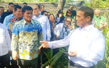 Sinergi strategis Gubernur Sulut Yulius Selvanus bersama Kementan RI sukses melipatgandakan kuota lahan jagung hingga 50.000 hektar serta mendatangkan bantuan alsintan modern bagi petani Sulut. (Foto: Ridho L Tobing)