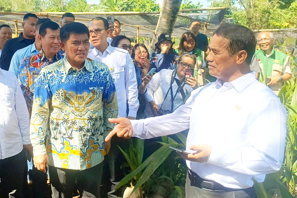 Sinergi strategis Gubernur Sulut Yulius Selvanus bersama Kementan RI sukses melipatgandakan kuota lahan jagung hingga 50.000 hektar serta mendatangkan bantuan alsintan modern bagi petani Sulut. (Foto: Ridho L Tobing)