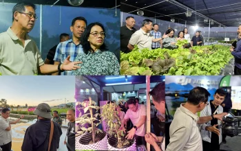 Walikota Bitung Hengky Honandar bersama Ny. Ellen Honandar Sondakh dan jajaran kontingen daerah saat mengamati langsung perkembangan mekanisasi pertanian dan perikanan di arena PENAS XVII Gorontalo. (Foto: Istimewa/Dok. SUDARA.ID)