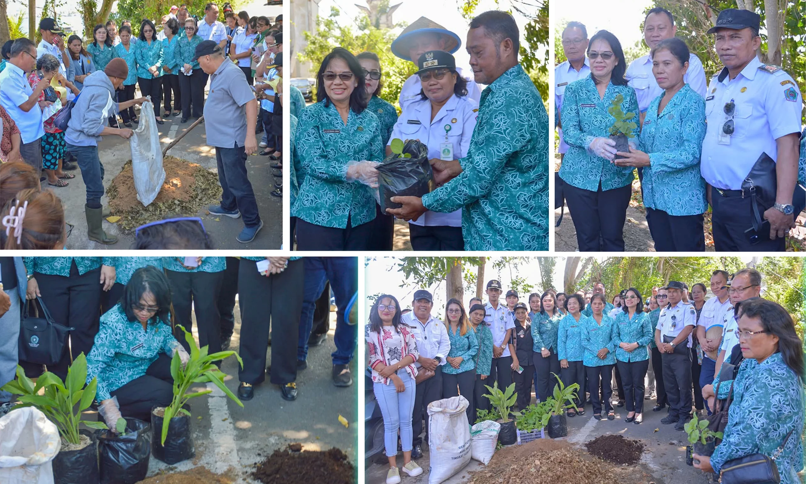 AKSI NYATA: Ketua TP PKK Kota Bitung Ellen Honandar-Sondakh SE, saat memimpin langsung praktik pembuatan kompos dari sampah rumah tangga di Kelurahan Batulubang, Lembeh Selatan, Rabu (15/7/2026). Kegiatan ini dipadukan dengan penguatan ketahanan pangan keluarga lewat pembagian bibit tanaman. (Foto: Istimewa)