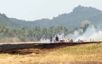 Asap mengepul dari area kebakaran lahan dekat landas pacu Bandara Sam Ratulangi Manado yang terjadi pada Selasa (6/10/2026) siang. Api kini telah berhasil dipadamkan oleh tim gabungan. (Foto: Otban VIII untuk SUDARA.ID)